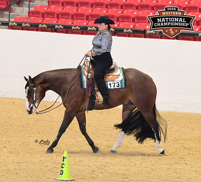 Lazy Loper On Scotch - 2025 APHA Western National Champion